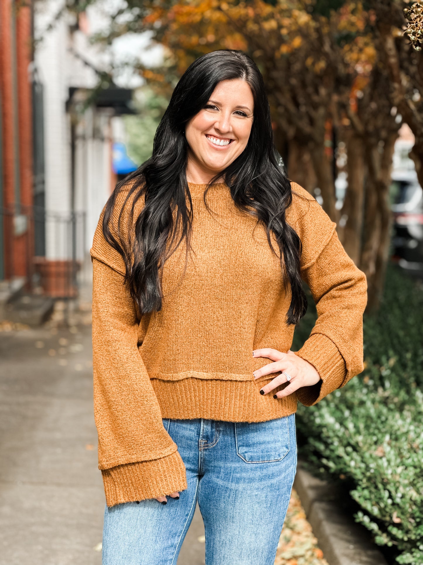 Raleigh Cropped Wide Sleeve Sweater