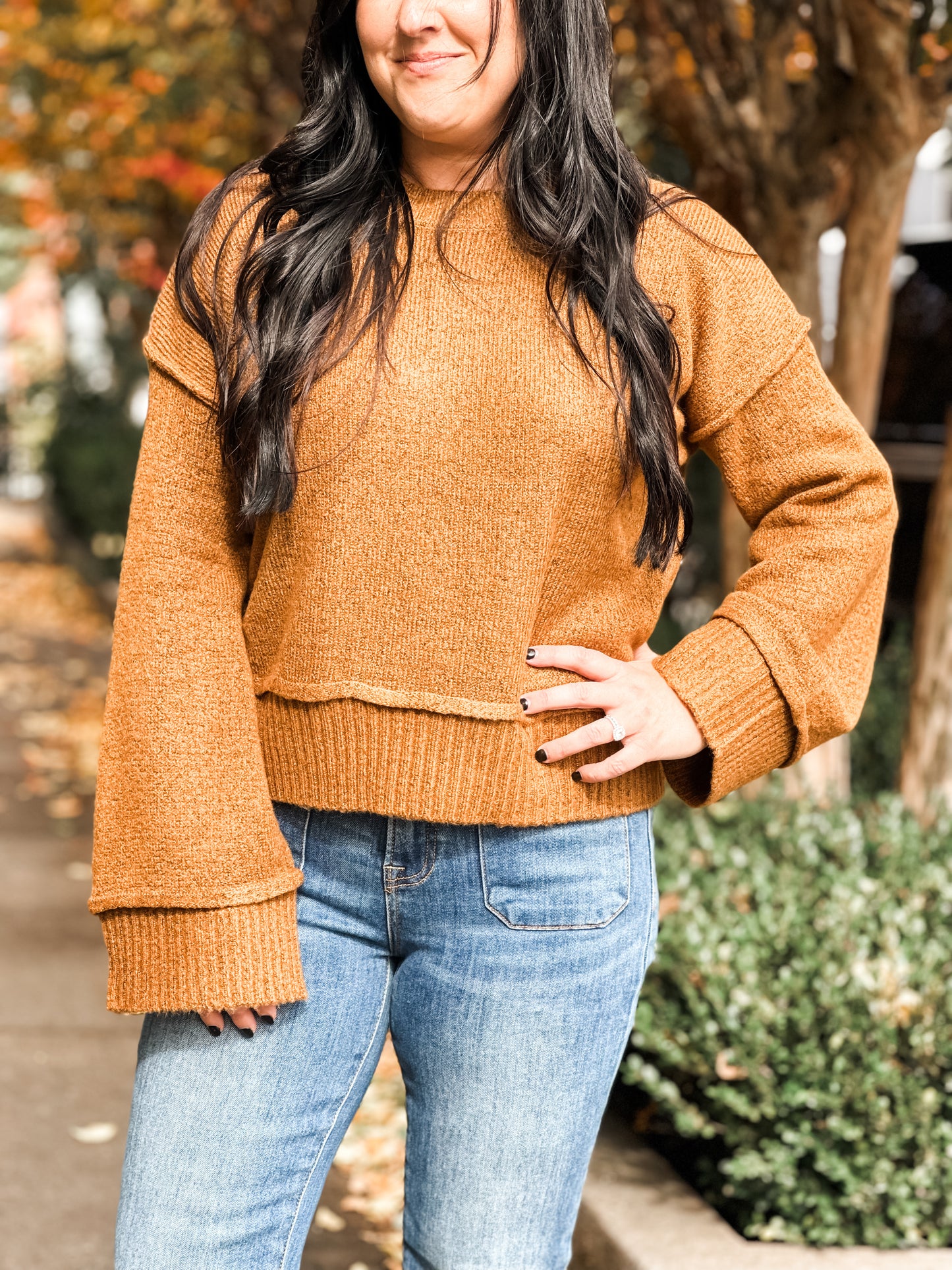 Raleigh Cropped Wide Sleeve Sweater