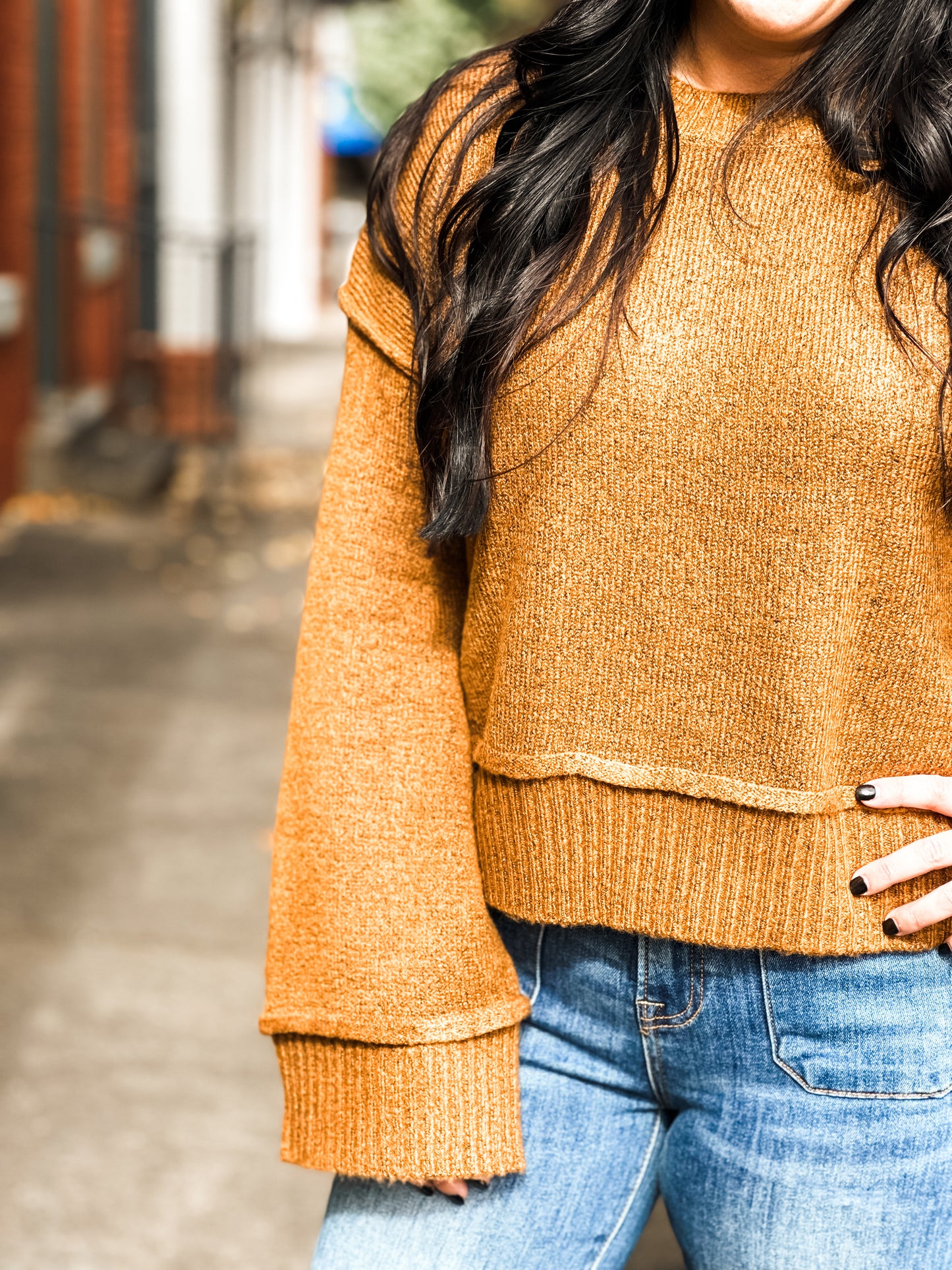 Raleigh Cropped Wide Sleeve Sweater